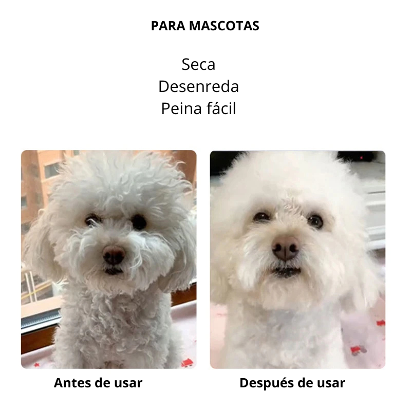 Secador-Cepillo para Mascotas